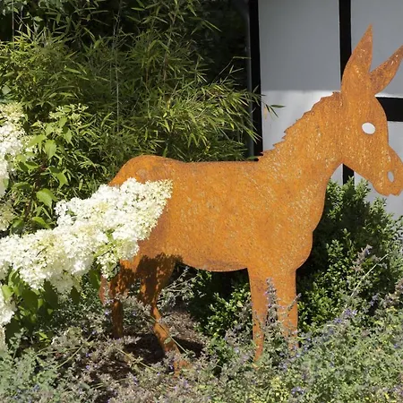 Apartament Michels Muehle - Up De Luett Deel